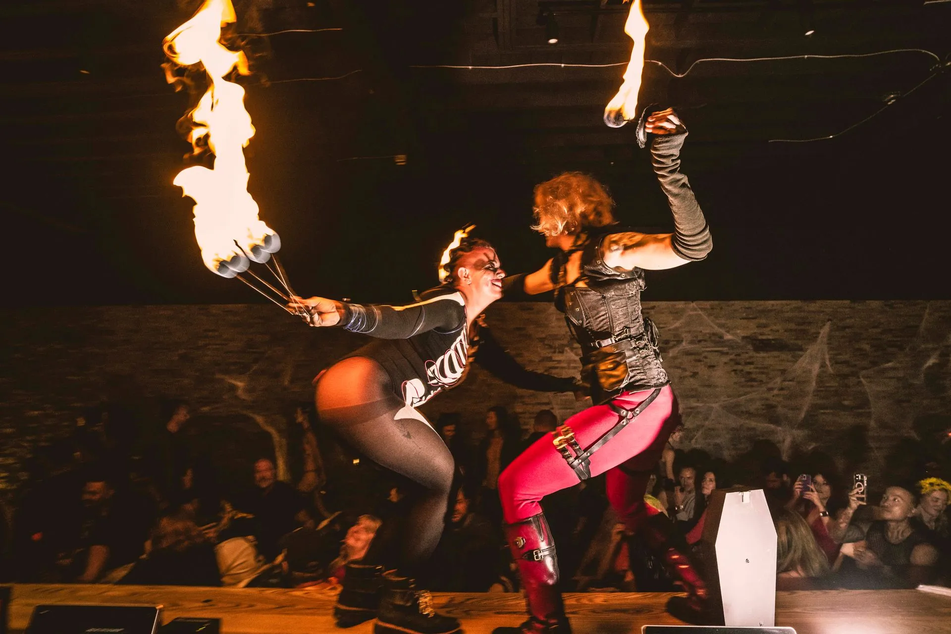 Two women performing up on the countertop inside of a bar.